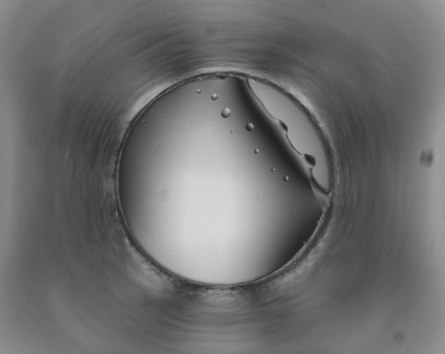 X0000092011137200709201525