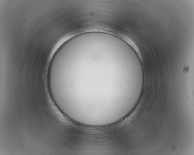 X0000092011138200709201525