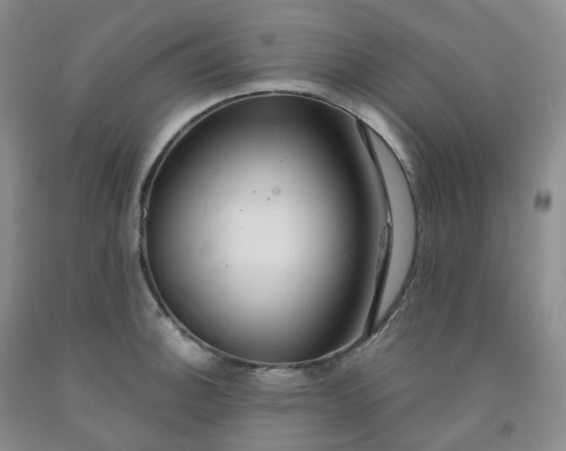 X0000092011140200709201525
