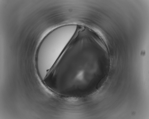 X0000092011141200709201525