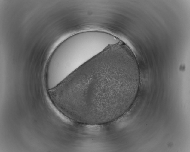 X0000092011142200709201525