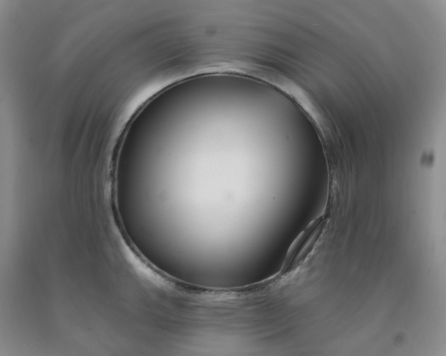 X0000092011143200709201525