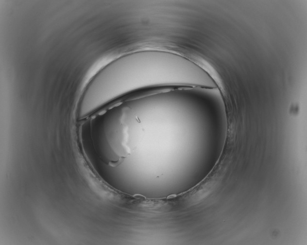 X0000092011146200709201525