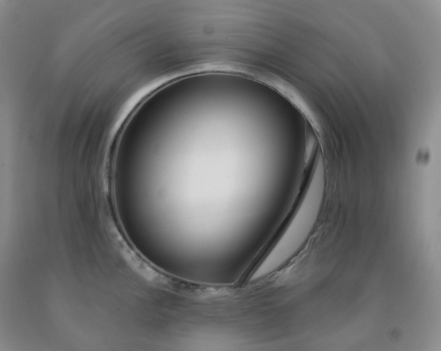 X0000092011148200709201525