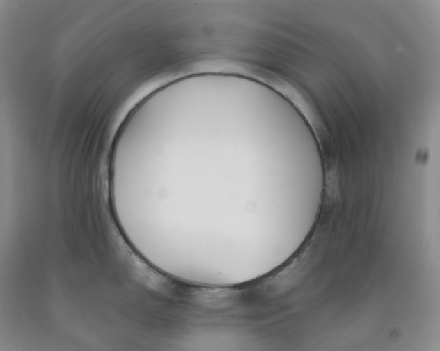 X0000092011150200709201525