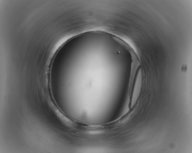 X0000092011151200709201525