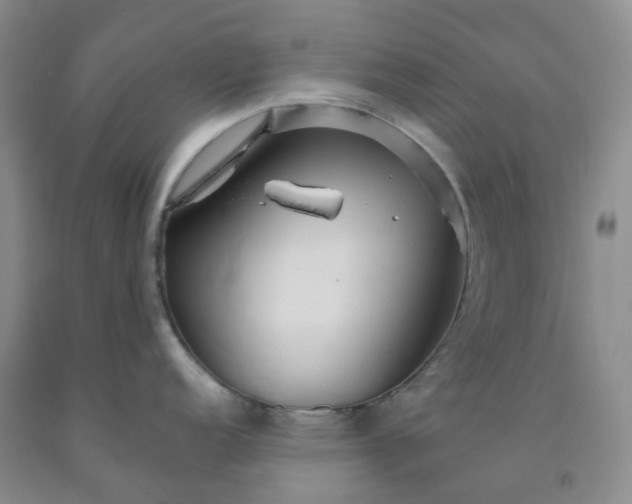X0000092011152200709201525