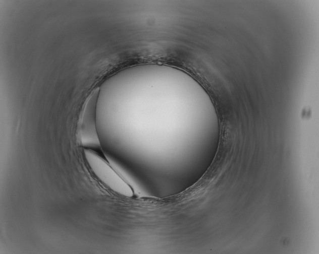 X0000092011153200709201524