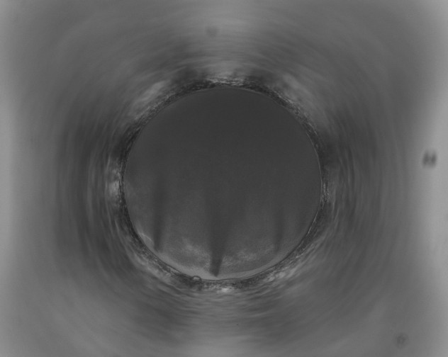 X0000092011154200709201524