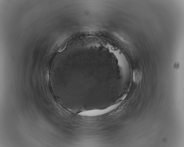 X0000092011155200709201524