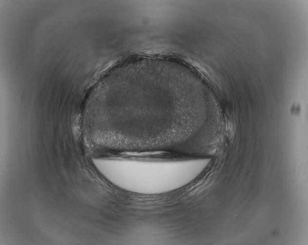 X0000092011156200709201524