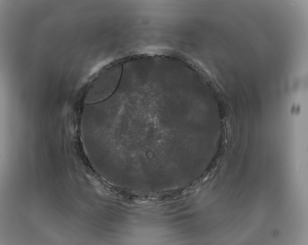 X0000092011158200709201524