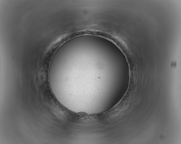 X0000092011159200709201524
