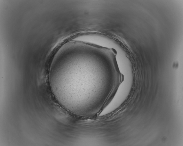 X0000092011160200709201524