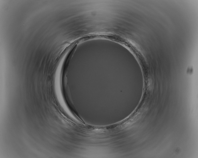X0000092011161200709201524