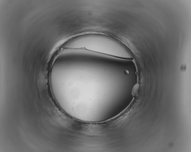 X0000092011164200709201524