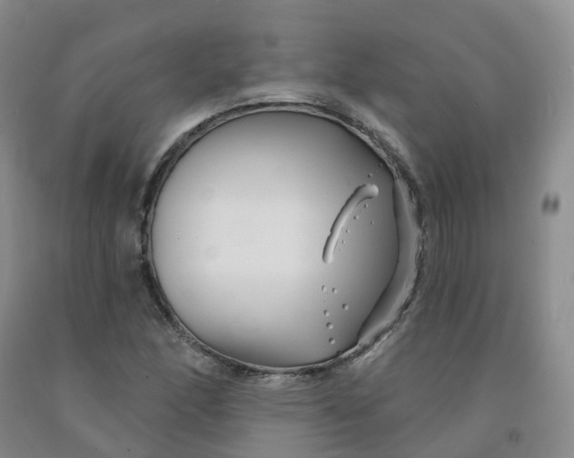 X0000092011166200709201524
