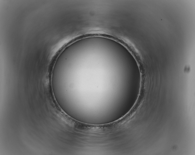 X0000092011167200709201524