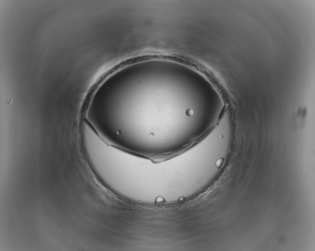 X0000092011168200709201524