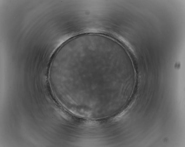 X0000092011170200709201524