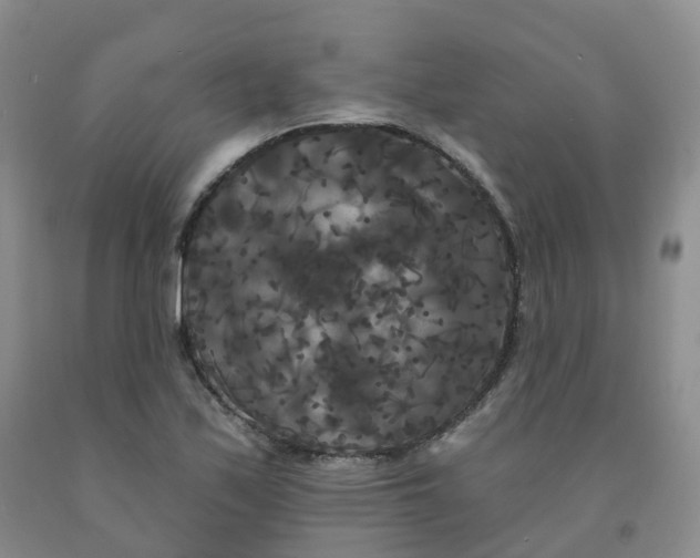 X0000092011171200709201524
