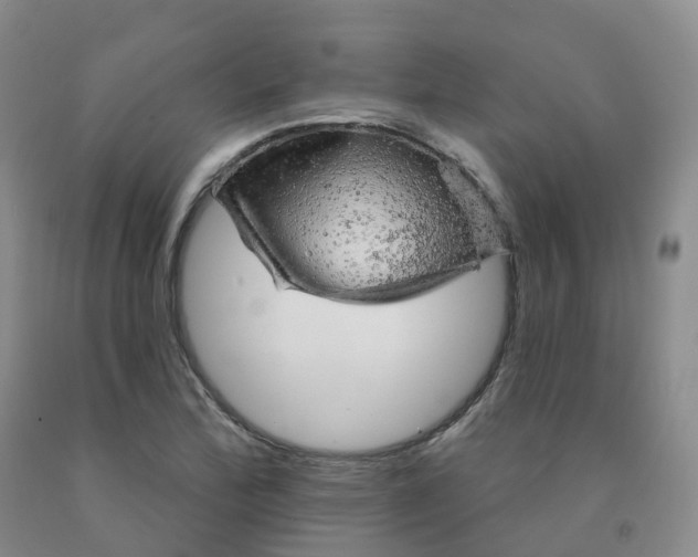X0000092011172200709201524