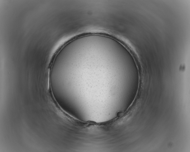 X0000092011175200709201524