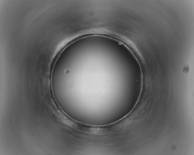 X0000092011176200709201524