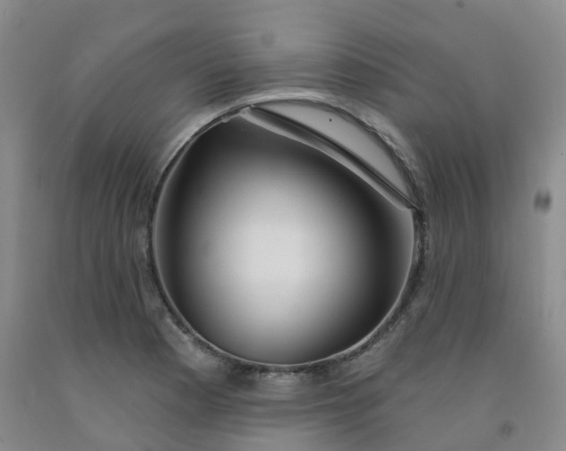 X0000092011177200709201524