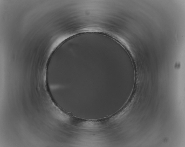 X0000092011179200709201524