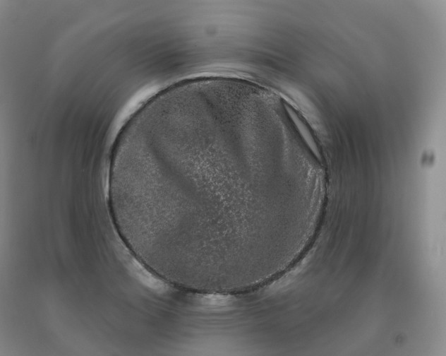 X0000092011180200709201524