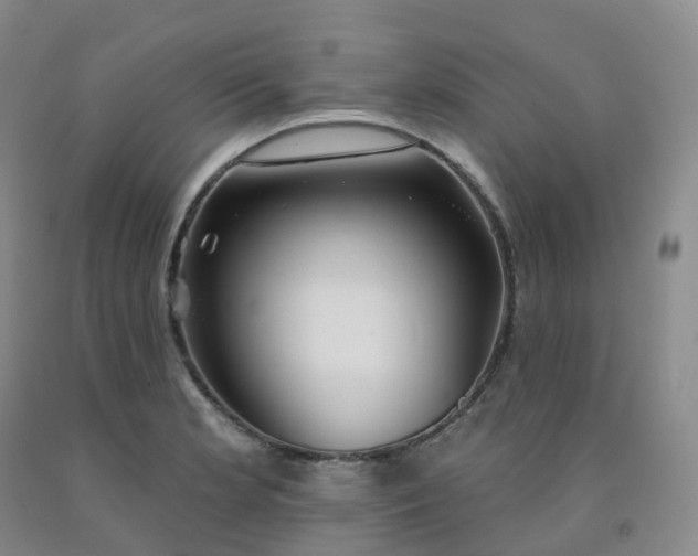 X0000092011181200709201524