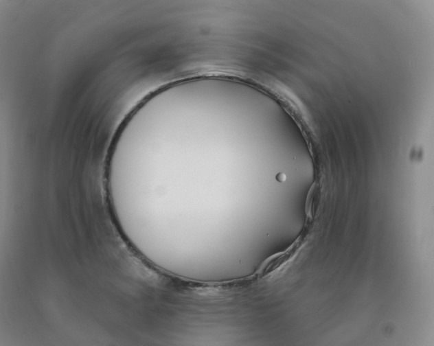 X0000092011182200709201524