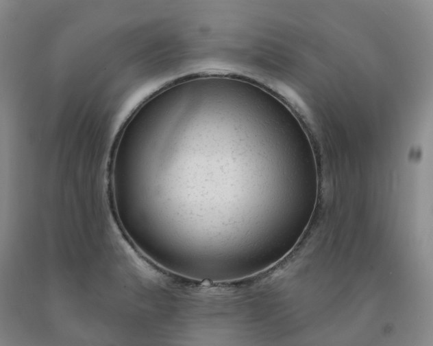 X0000092011183200709201524
