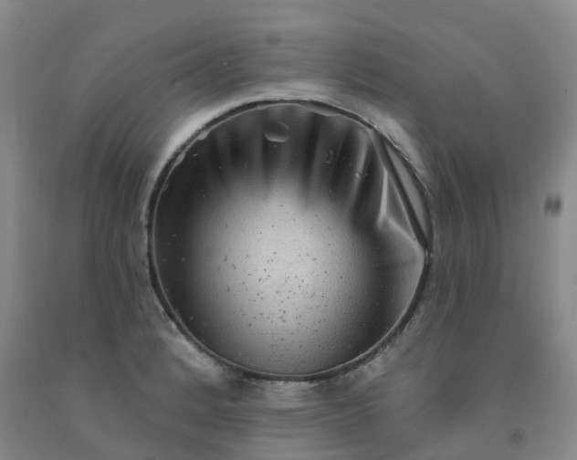 X0000092011184200709201524