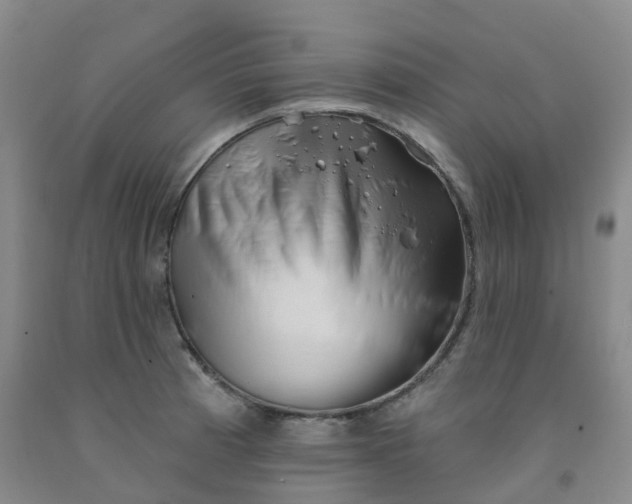 X0000092011185200709201524