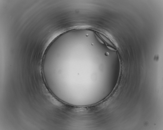X0000092011186200709201524