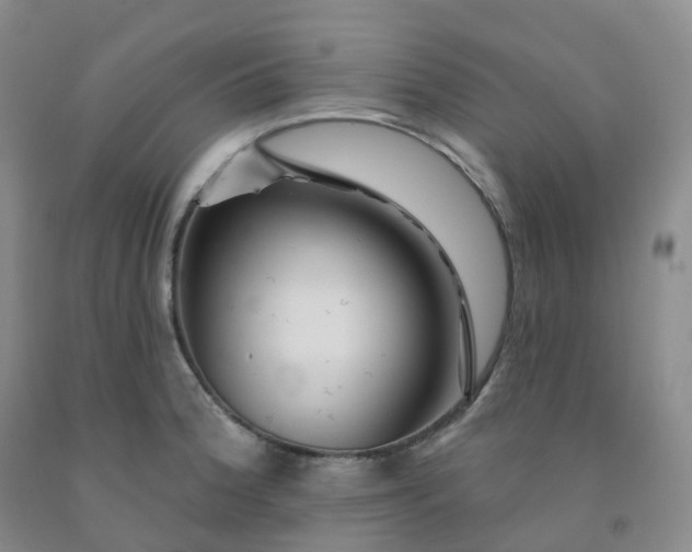 X0000092011188200709201523