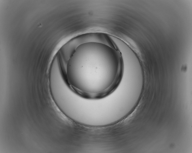 X0000092011192200709201523