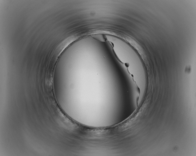 X0000092011193200709201523