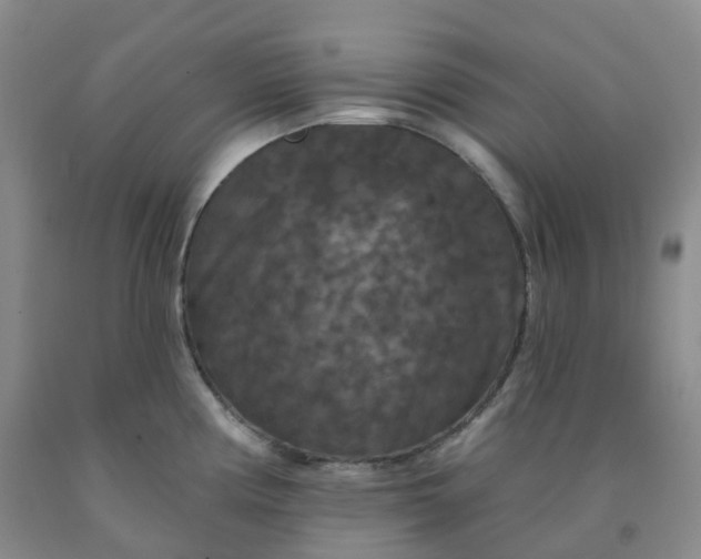 X0000092011194200709201523