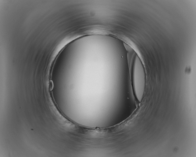 X0000092011195200709201523
