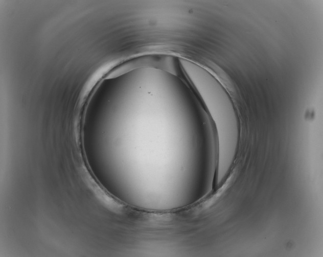 X0000092011196200709201523