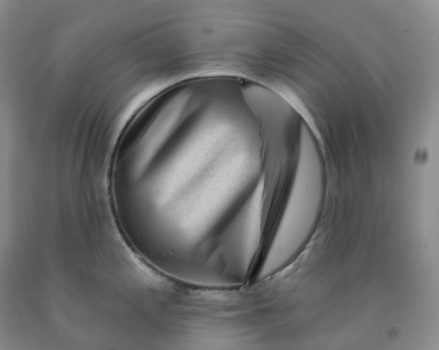 X0000092011197200709201523