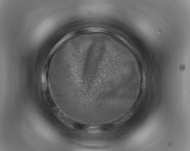 X0000092011198200709201523