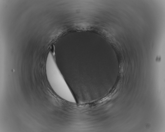 X0000092011202200709201523