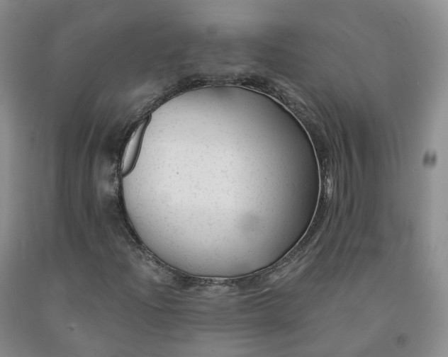 X0000092011204200709201523