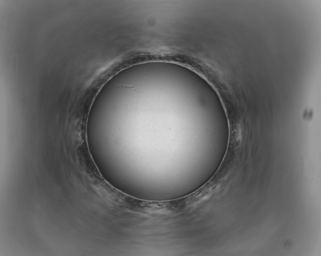 X0000092011205200709201523