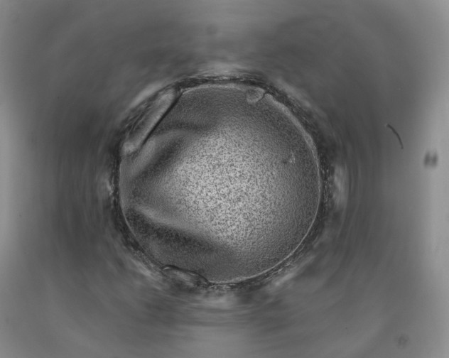 X0000092011206200709201523