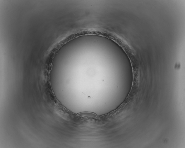 X0000092011207200709201523
